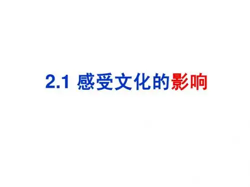 感受文化的影响