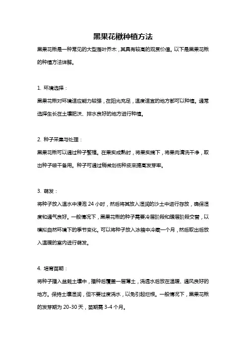 黑果花楸种植方法
