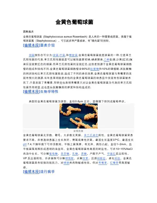 金黄色葡萄球菌