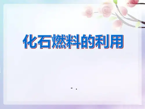 《化石燃料的利用》燃料与燃烧PPT课件