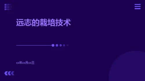 远志的栽培技术
