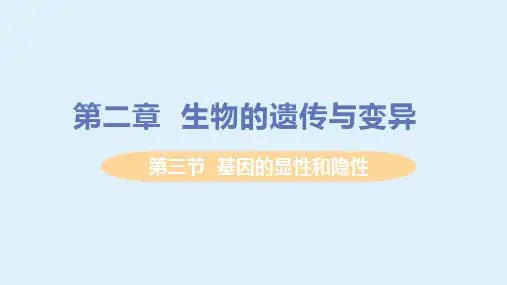 第三节基因的显性和隐性课件(人教版生物)