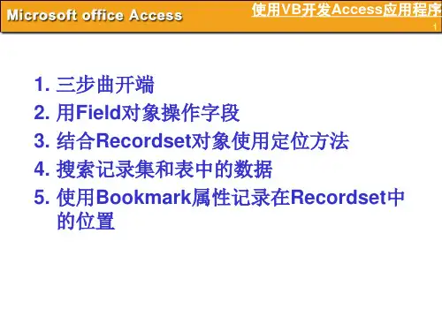 使用VB开发Access应用程序(2)