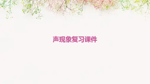 声现象复习课件(纯表格归纳)