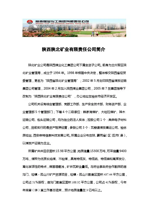 陕西陕北矿业有限责任公司简介