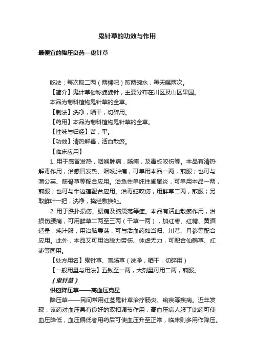 鬼针草的功效与作用