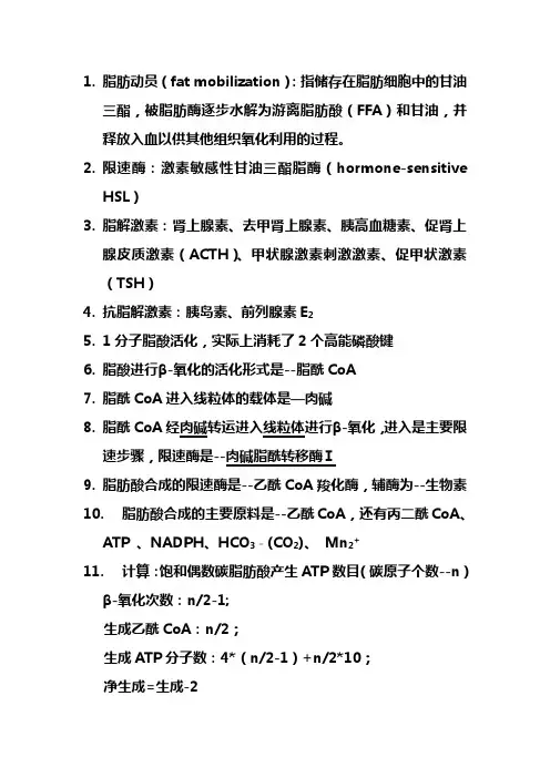 脂类代谢(1)