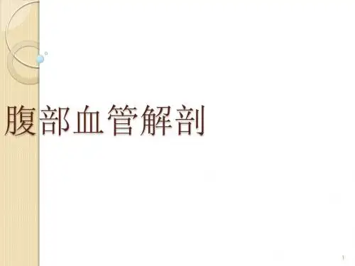 腹部血管解剖静脉动脉ppt课件