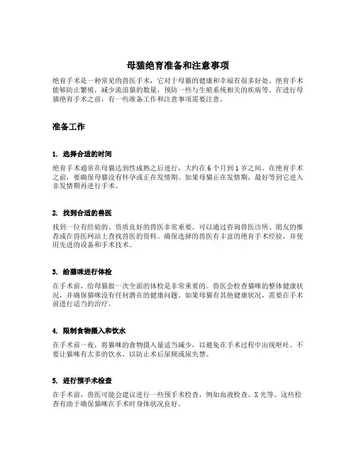 母猫绝育准备和注意事项