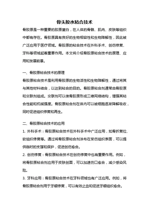 骨头胶水粘合技术 2
