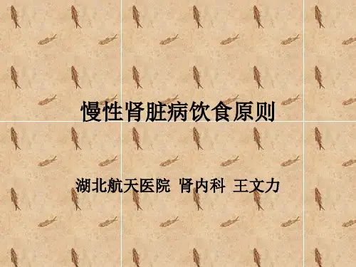 慢性肾脏病饮食原则