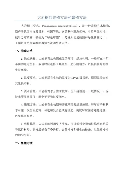 大岩桐的养殖方法和繁殖方法