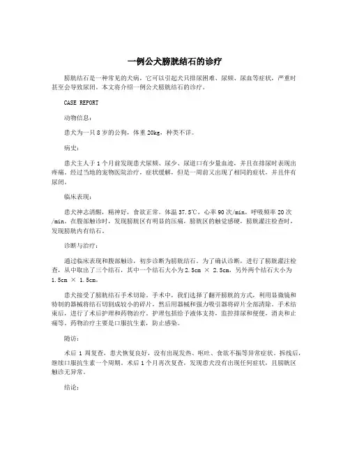 一例公犬膀胱结石的诊疗
