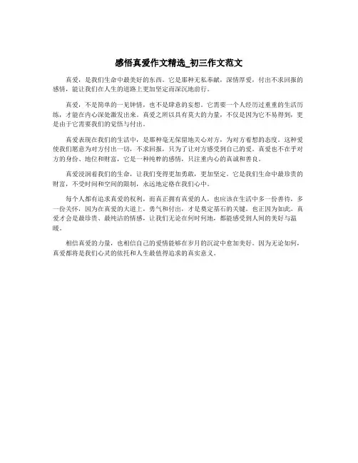 感悟真爱作文精选_初三作文范文