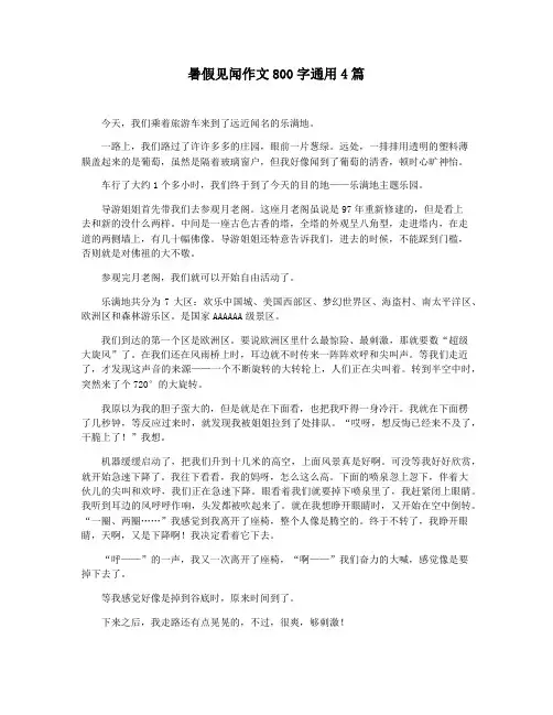 暑假见闻作文800字通用4篇