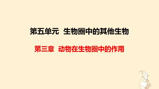 2022-2023学年人教版生物八年级上册 5-3 动物在生物圈中的作用 课件