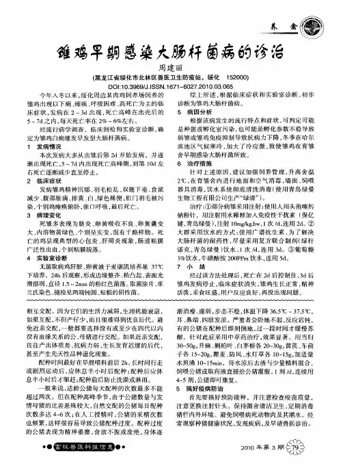 雏鸡早期感染大肠杆菌病的诊治
