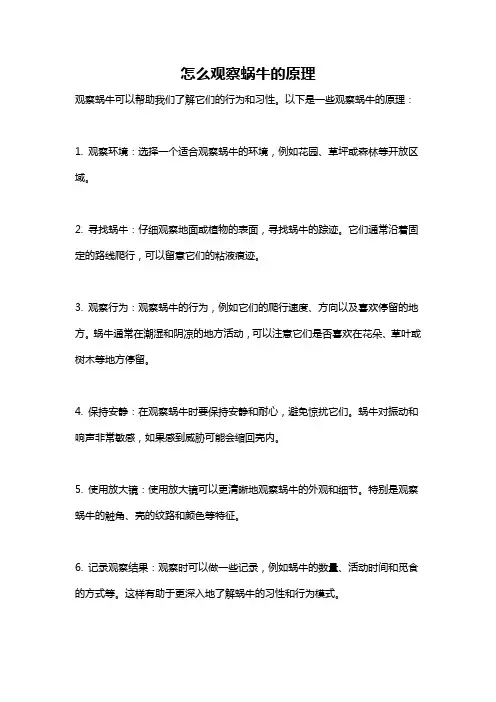 怎么观察蜗牛的原理