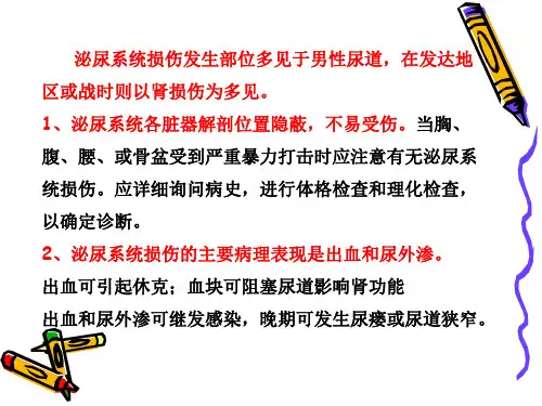 泌尿系统损伤PPT课件