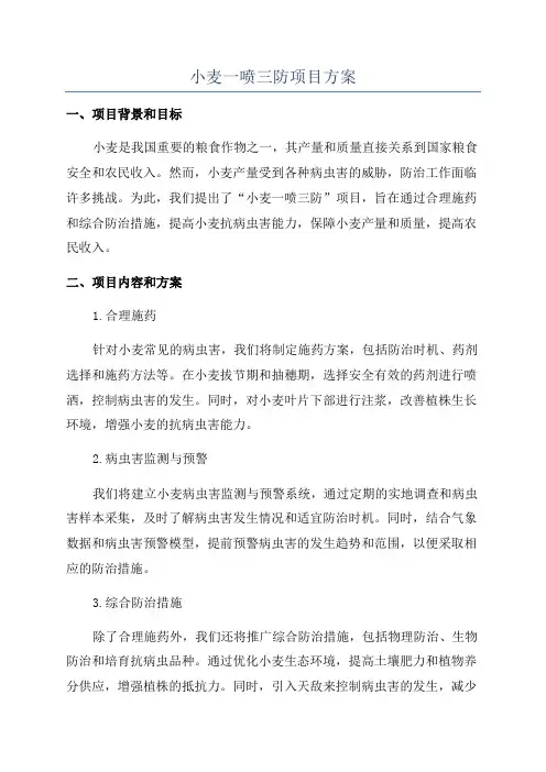 小麦一喷三防项目方案