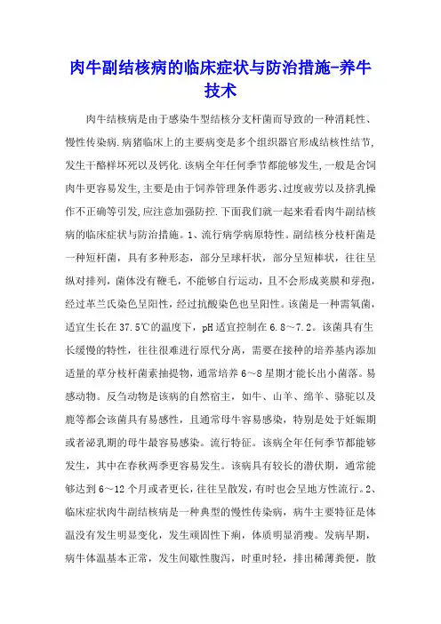 肉牛副结核病的临床症状与防治措施 - 养牛技术