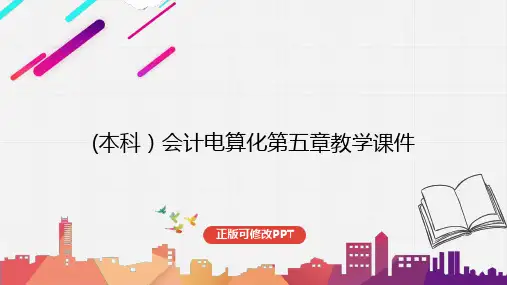 (本科)会计电算化第五章教学课件