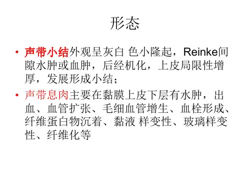 声带小结与息肉