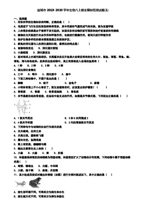 盐城市2019-2020学年生物八上期末模拟检测试题(1)