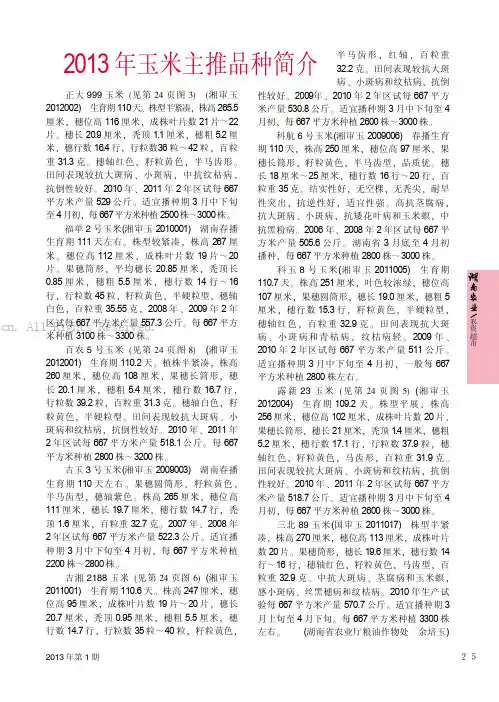 2013年玉米主推品种简介