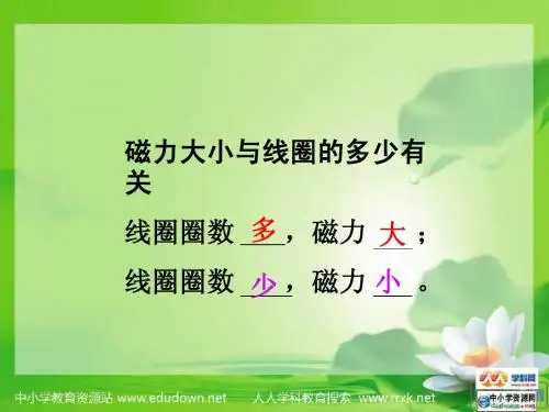 电磁铁的磁力(二)