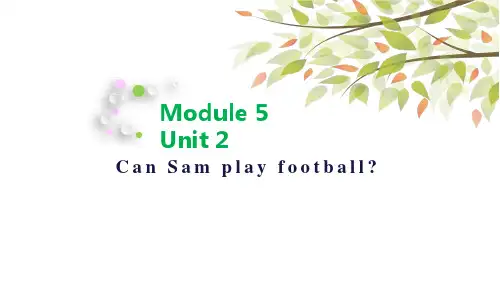 外研版四年级英语上册教学课件Module 5 Unit 2