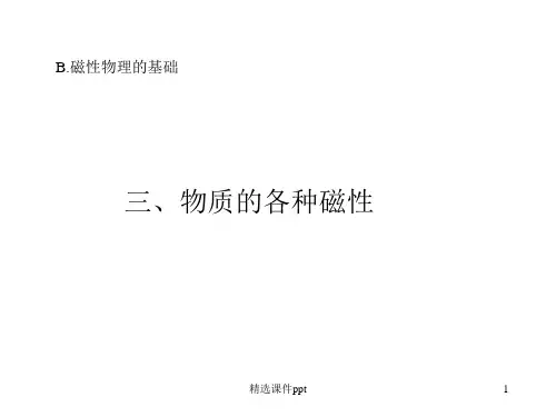 磁性物理基础ppt课件
