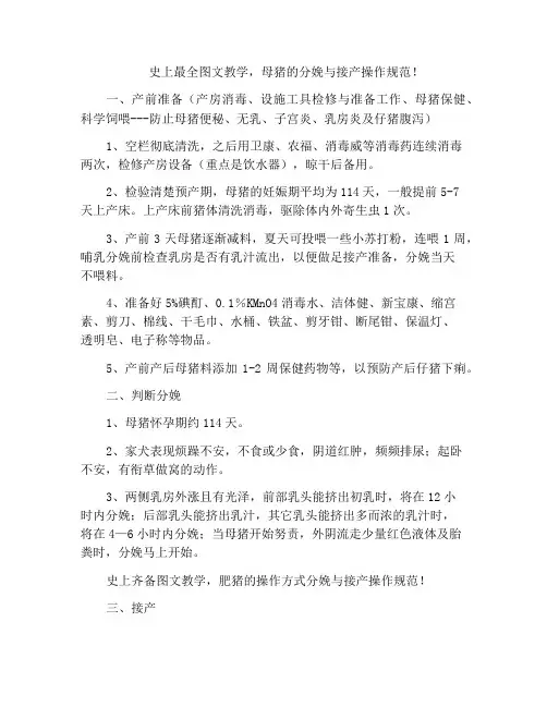 史上最全图文教学,母猪的分娩与接产操作规范!