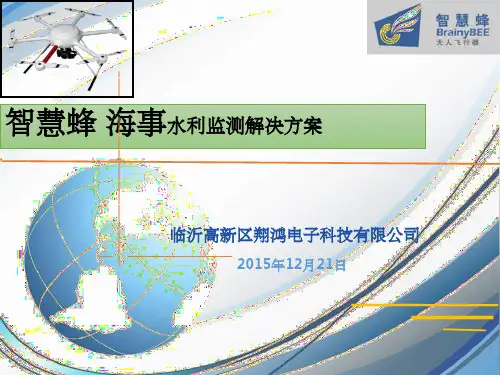 无人机测绘解决方案ppt课件