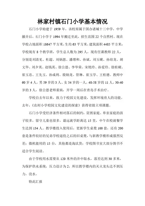 林家村镇石门小学基本情况