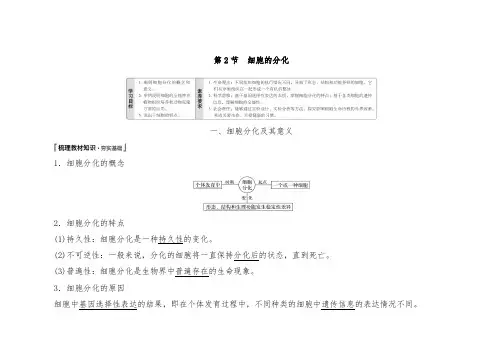 细胞的分化同步练习题