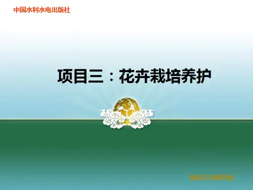 任务二 宿根花卉栽培养护