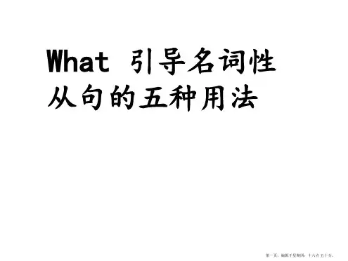 what引导名词性从句总结