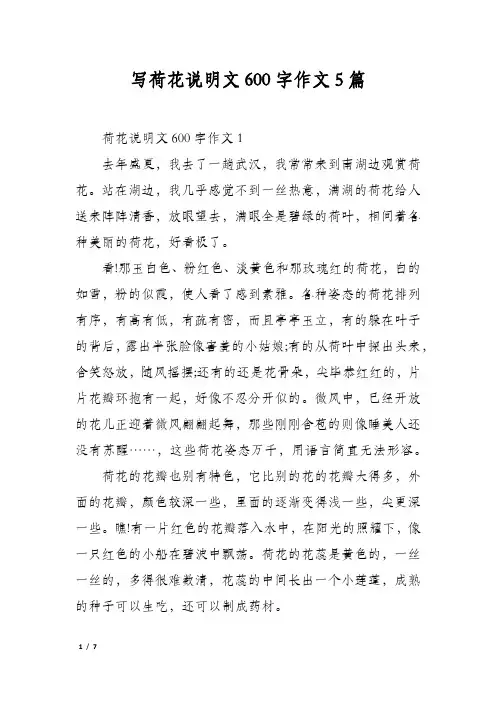 写荷花说明文600字作文5篇