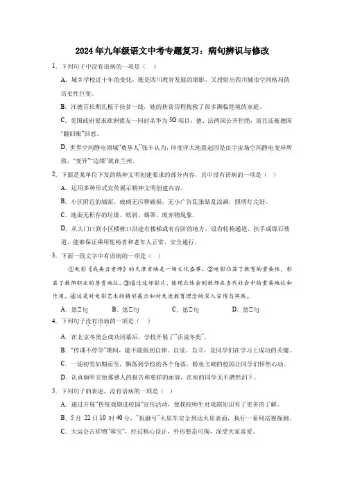 2024年九年级语文中考专题复习：病句辨识与修改(含解析)