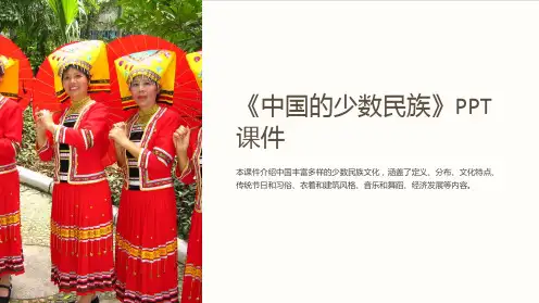 《中国的少数民族》课件