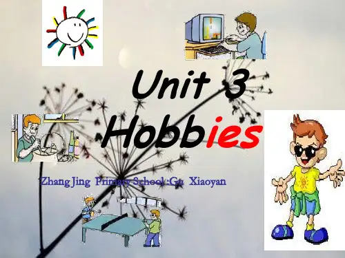 hobbiesPPT课件