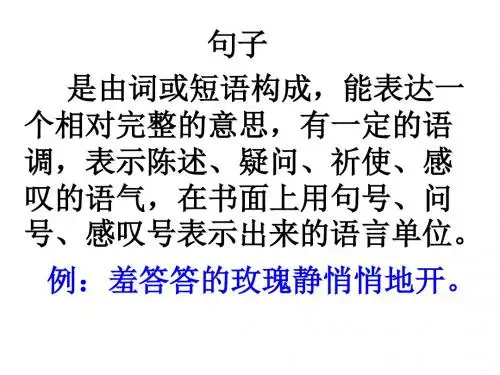 现代汉语语法句修改版