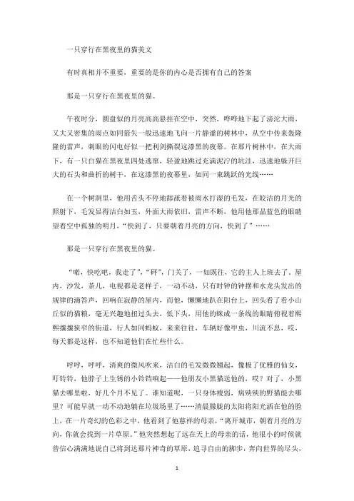 美文欣赏一只穿行在黑夜里的猫美文
