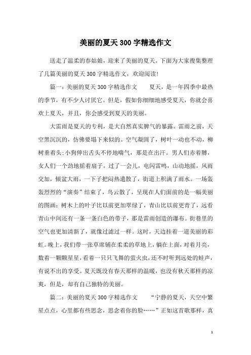 美丽的夏天300字精选作文