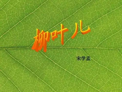 柳叶儿课件