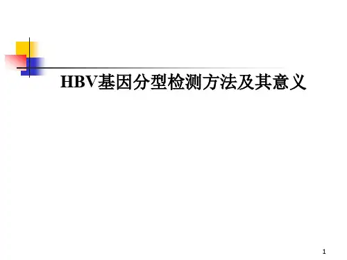 HBV基因分型的检测方法及临床意义ppt课件