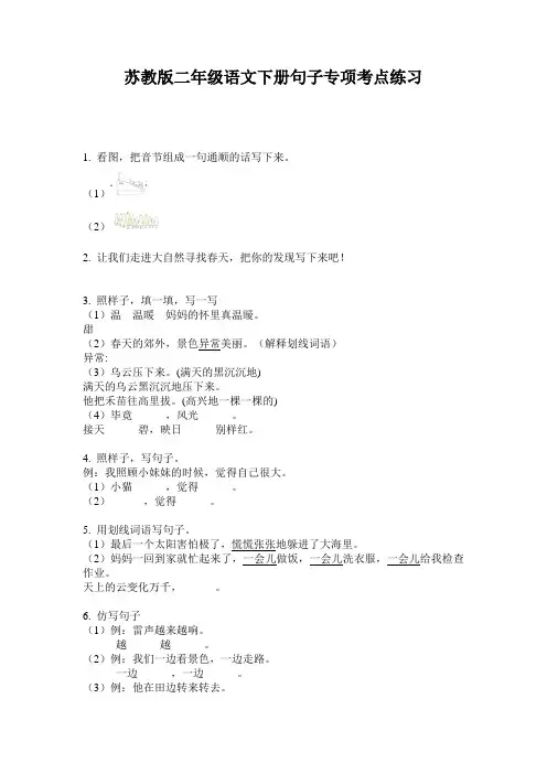 苏教版二年级语文下册句子专项考点练习
