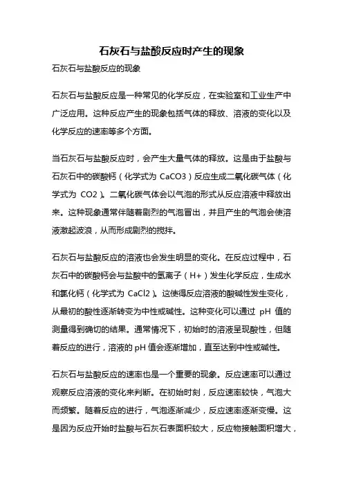 石灰石与盐酸反应时产生的现象