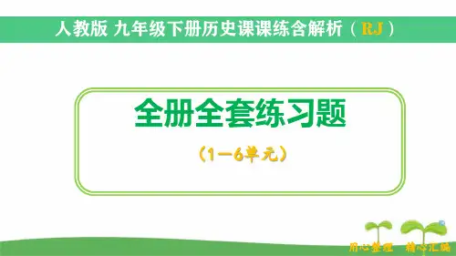 2020人教版九年级历史下册全册课时作业本及答案解析
